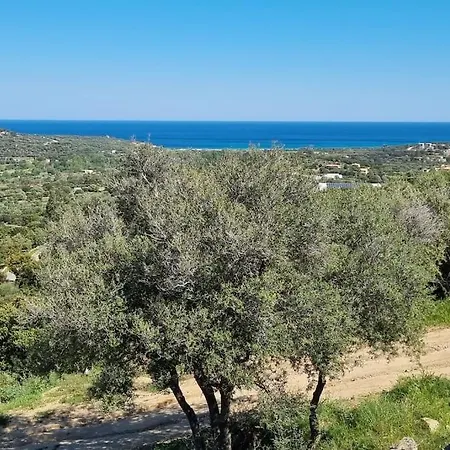 Charmant Petit Logement A 3 Kms De La Plage Belgodère Buitenkant foto