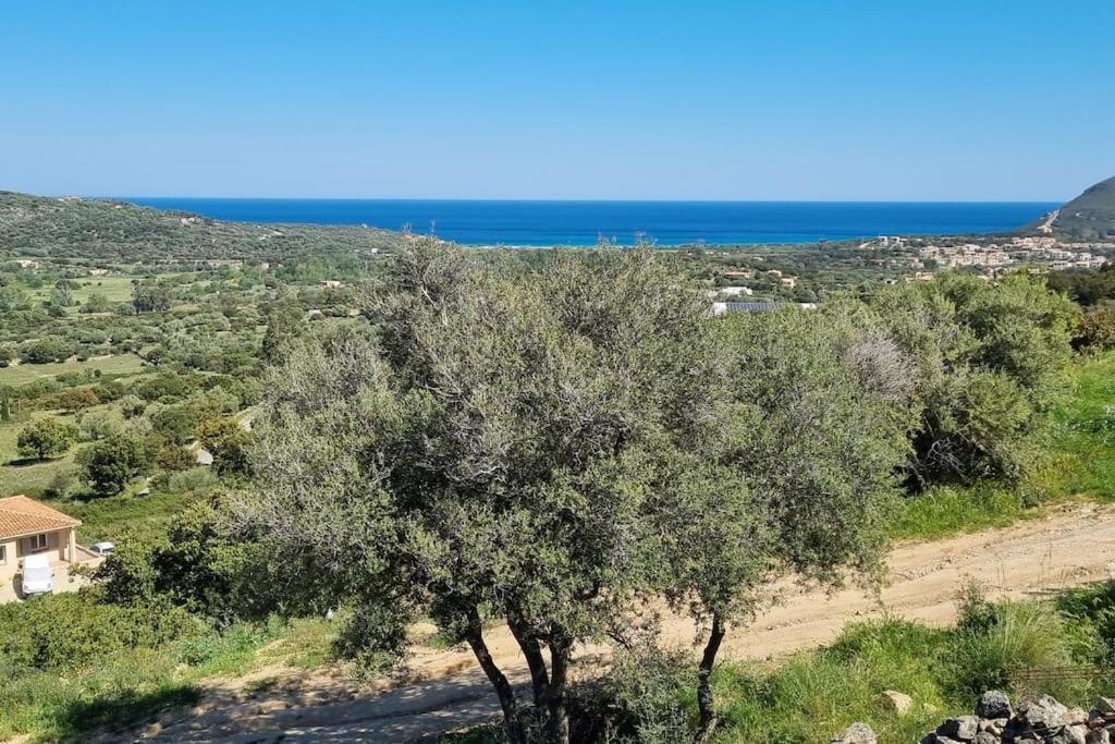Petit A 3 Kms De La * Belgodere (Corsica)