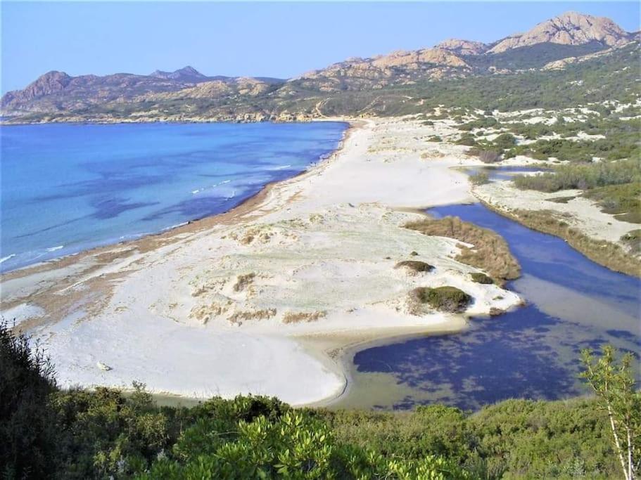 Petit A 3 Kms De La Apartment Belgodere (Corsica)