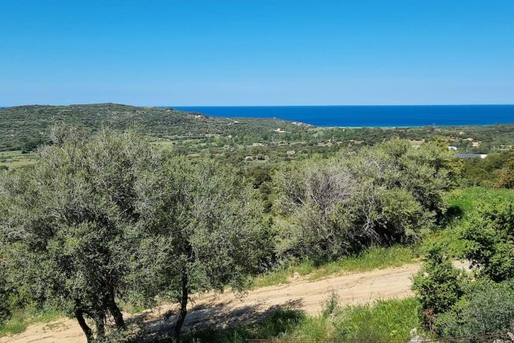 Petit A 3 Kms De La