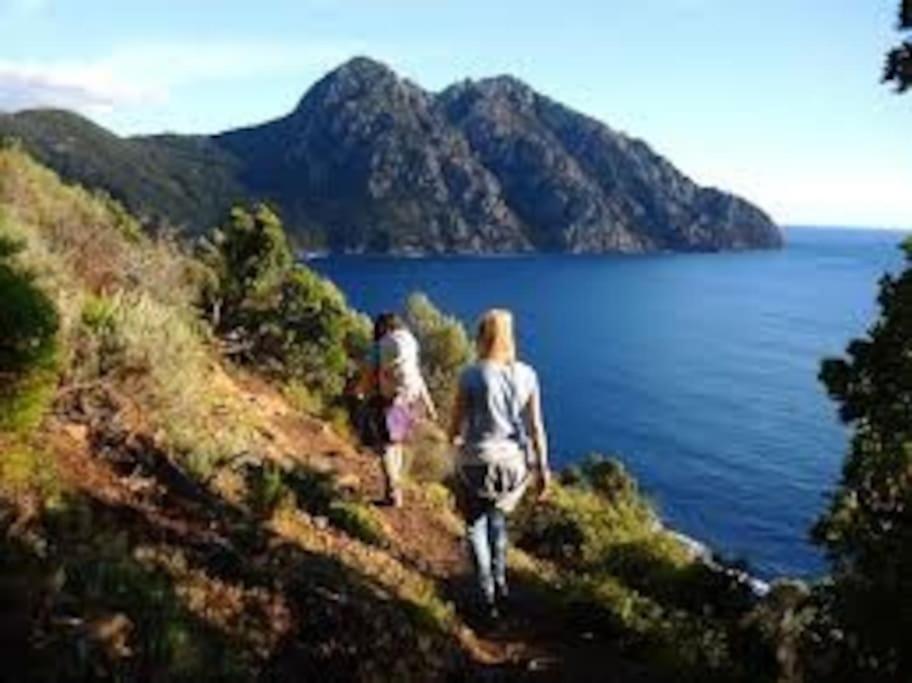 Petit A 3 Kms De La Belgodere (Corsica)